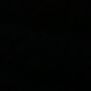 Meet your Posher, Jerry